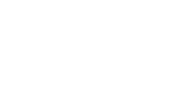 Level Up REI logo